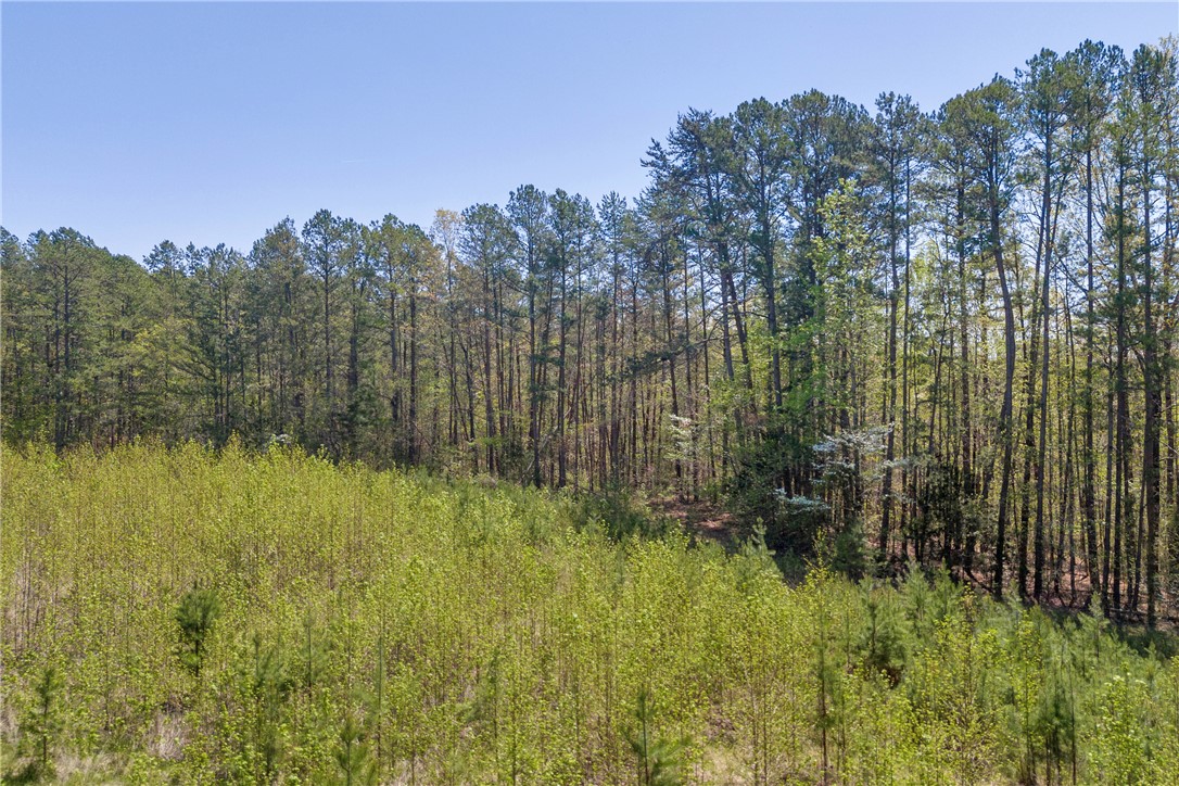 573 Nimmons Bridge Road Salem, SC 29676 - Photo 25 of 28 Gallery Image 25
