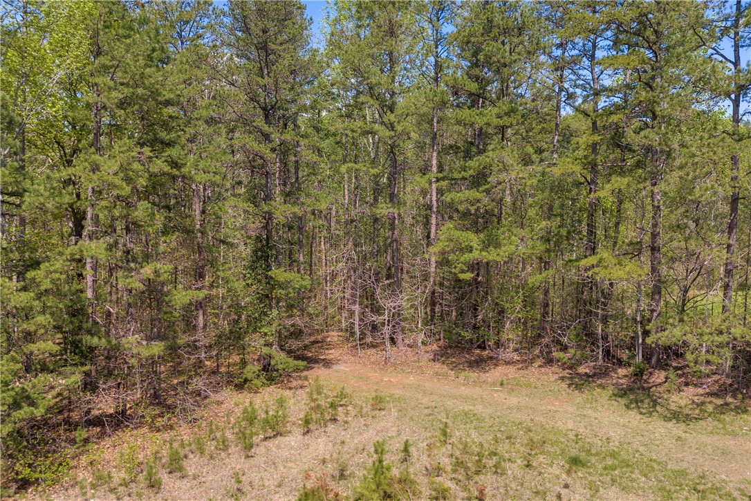 573 Nimmons Bridge Road Salem, SC 29676 - Photo 26 of 28 Gallery Image 26
