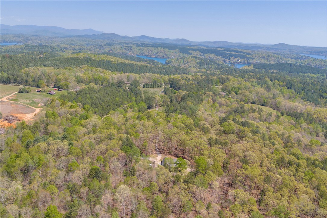 573 Nimmons Bridge Road Salem, SC 29676 - Photo 10 of 28 Gallery Image 10