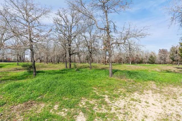 a view of outdoor space and garden