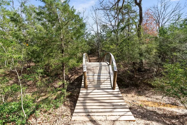 a view of a forest with trees