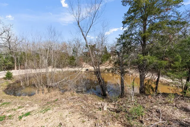 a view of a water pond with trees in the background