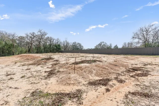 a view of a park with large trees