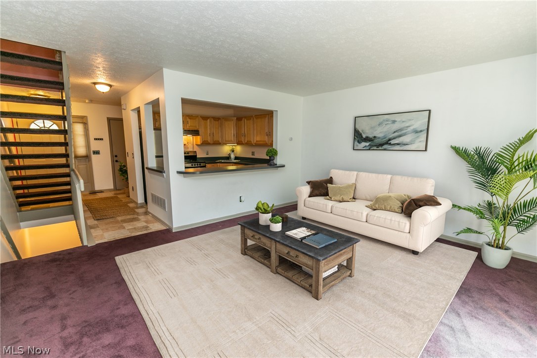 4232 River Ridge Drive Cleveland, OH 44109 - Photo 3 of 35 Gallery Image 3