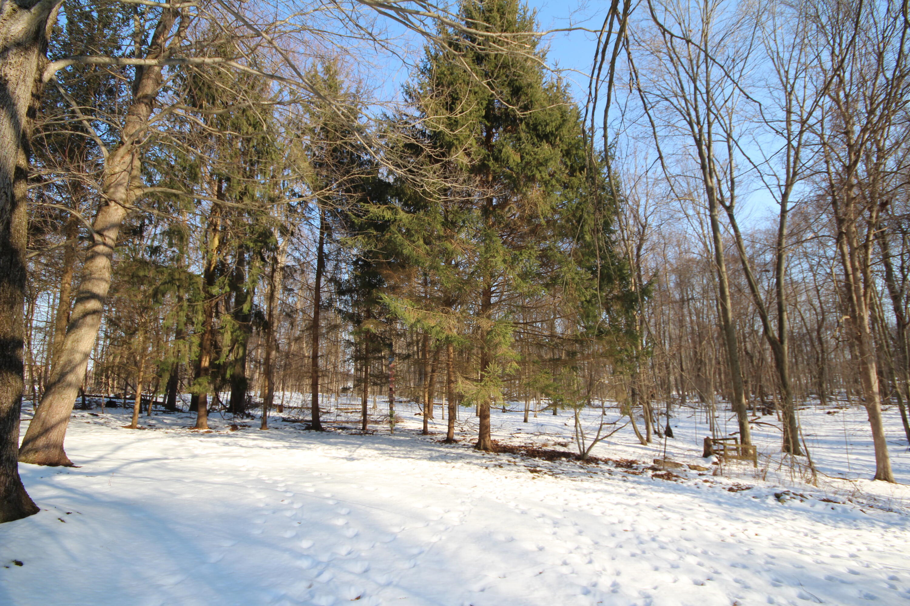 25395 Flach Road Mendon, MI 49072 - Photo 27 of 30 28
