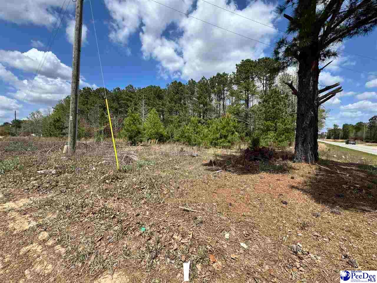 1549 Lester Road Dillon, SC 29536 - Photo 1 of 2 Gallery Image 1