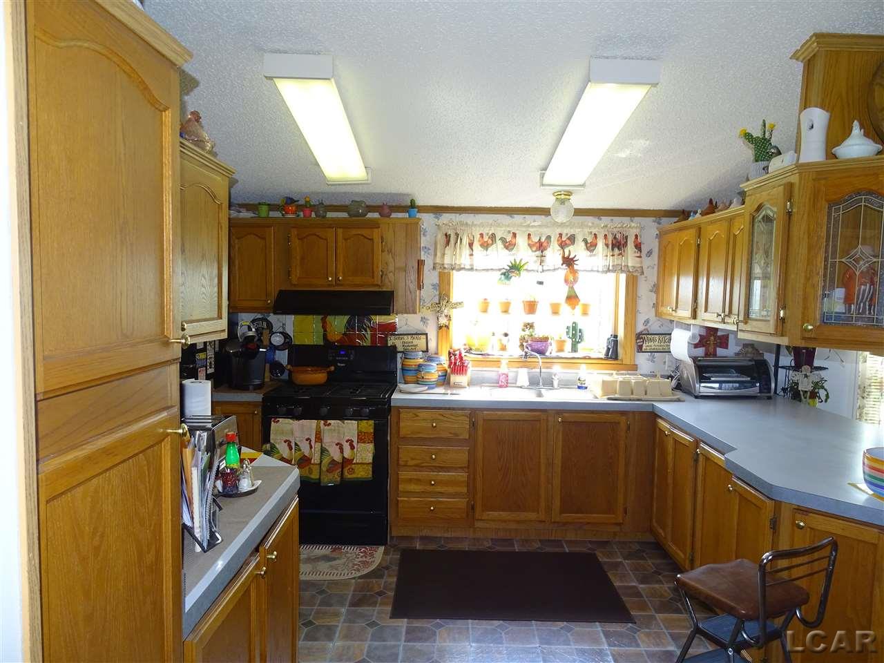 10475 Plank Road Clayton, MI 49235 - Photo 10 of 29 31376983-9.JPG