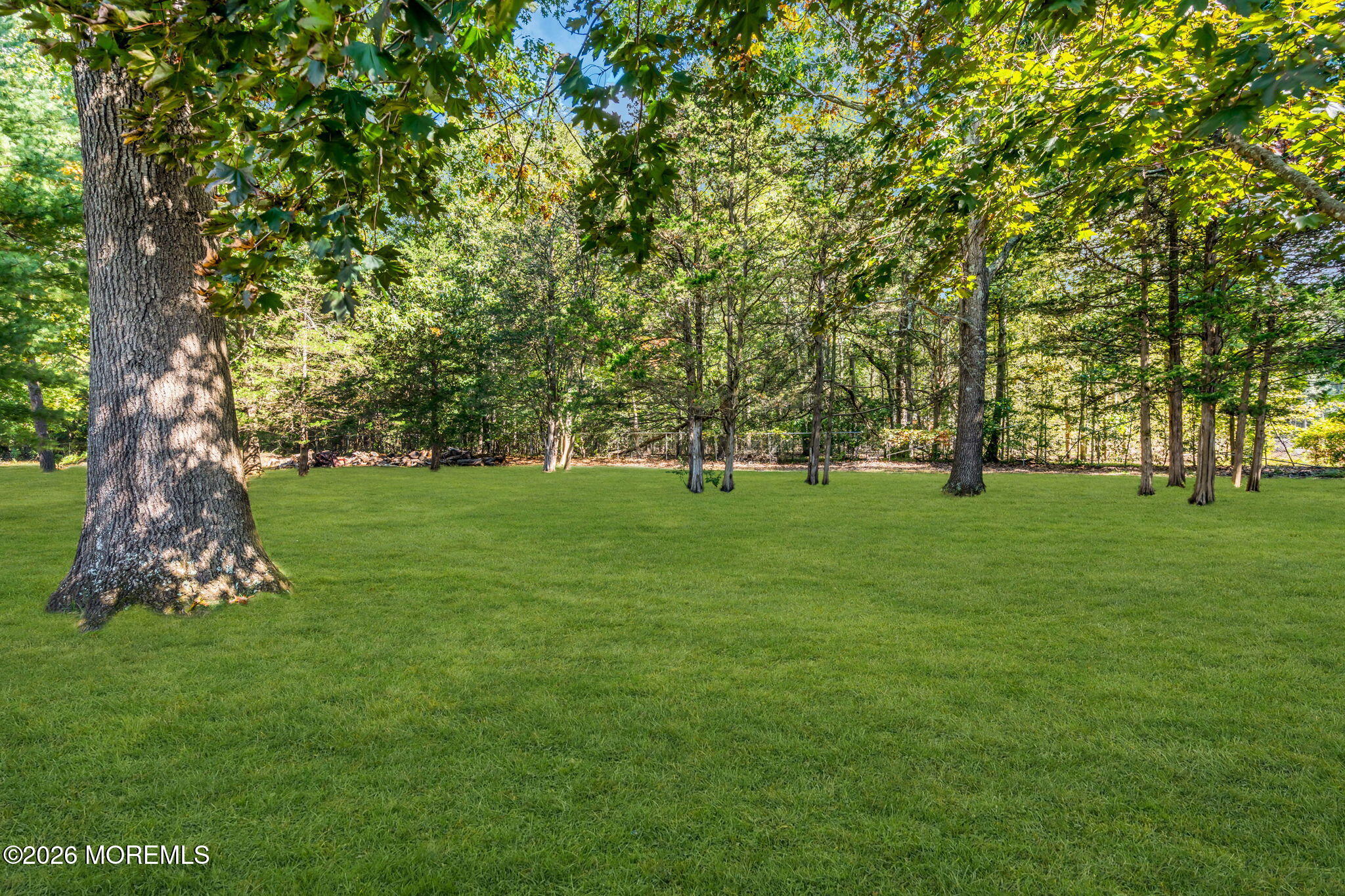 17 Tanglewood Drive Cream Ridge, NJ 08514 - Photo 26 of 28 Wooded lot behind home