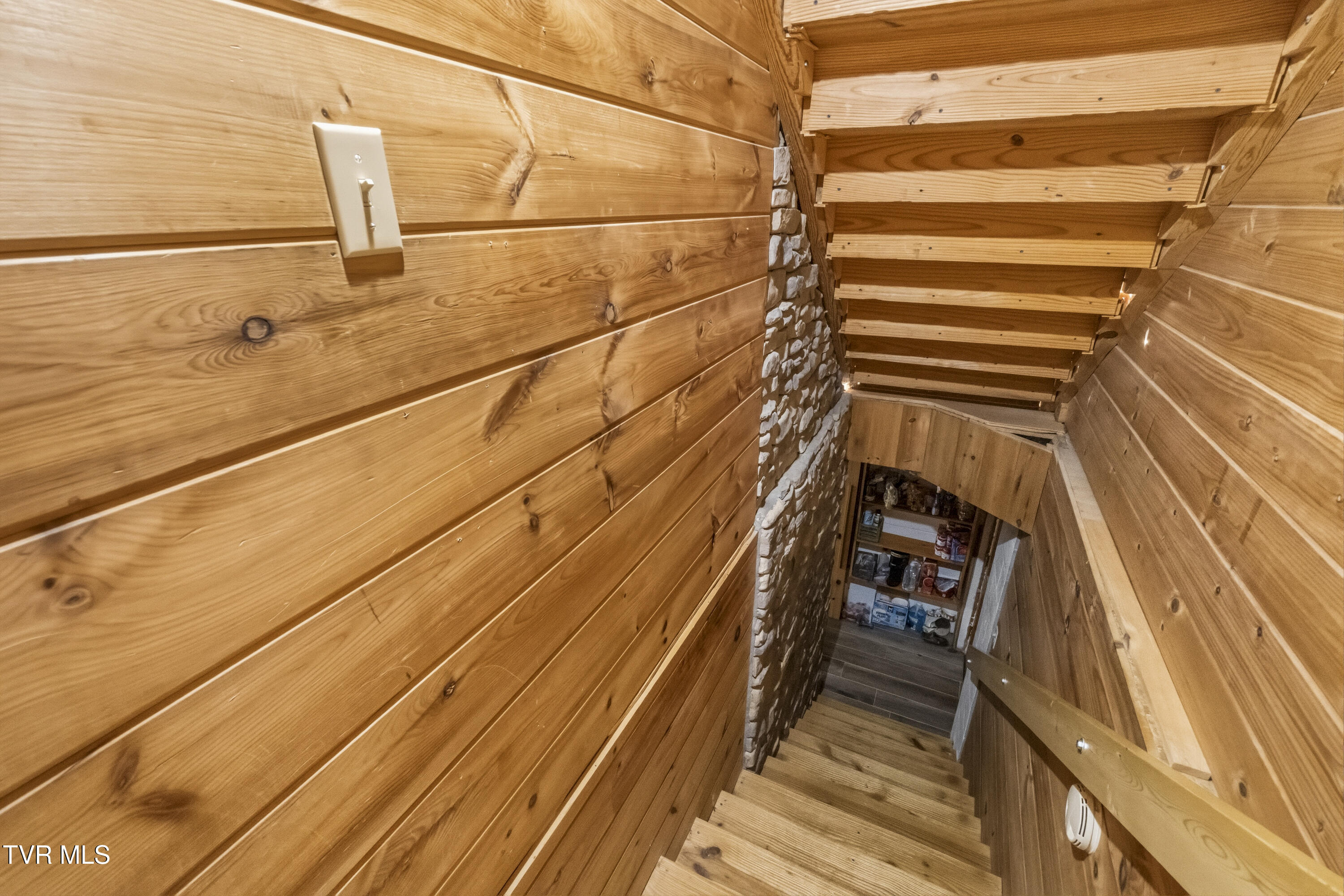 1600 Red Hill Road Greeneville, TN 37743 - Photo 47 of 73 Johnson downstair steps DSC05800