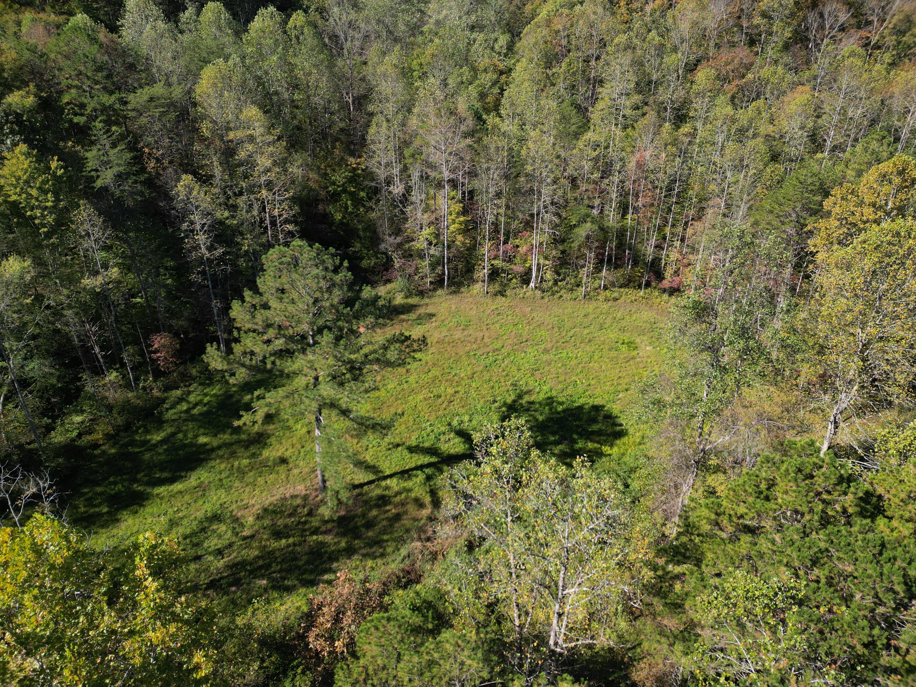9999 Reed Branch Road Manchester, KY 40962 - Photo 33 of 48 DJI_0808