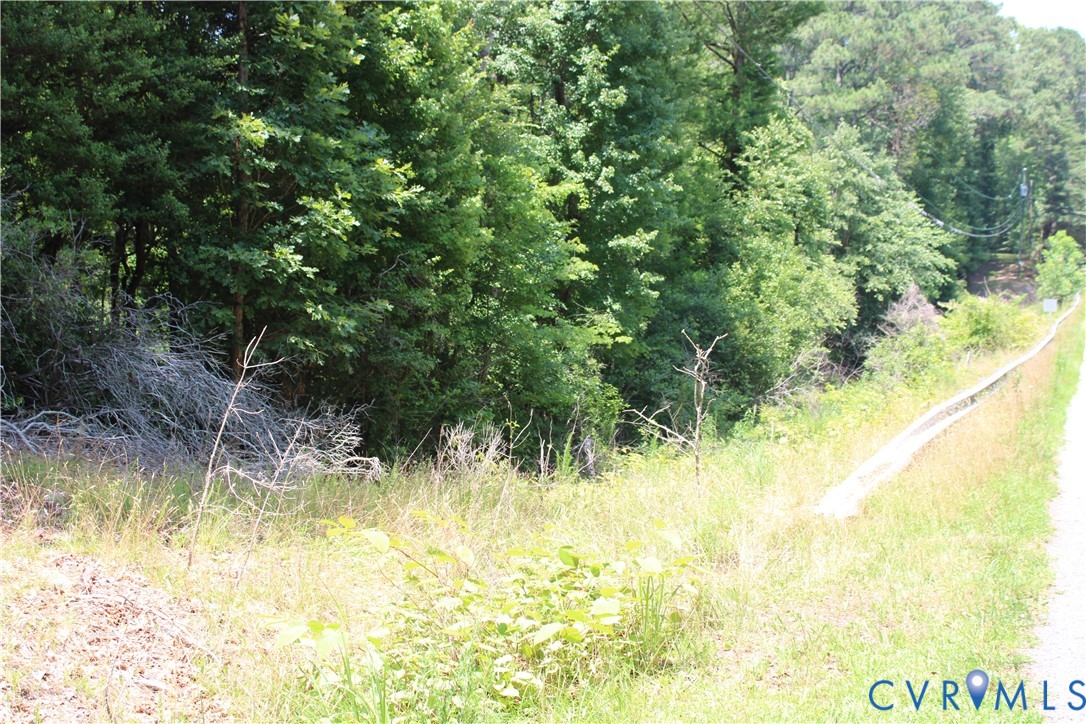 Tbd Wilcox Neck Road Charles City, VA 23030 - Photo 6 of 7