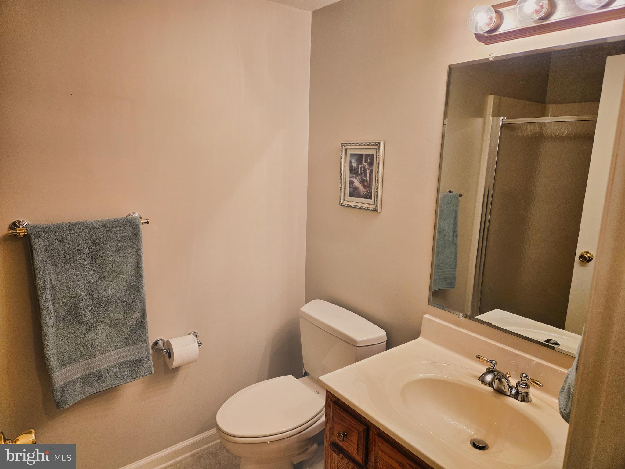174 Rorrer Circle Harrisonburg, VA 22801 - Photo 43 of 52 a bathroom with a sink mirror vanity and toilet