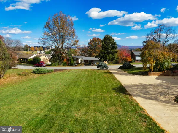 a view of a yard in front of a house with plants and large tree