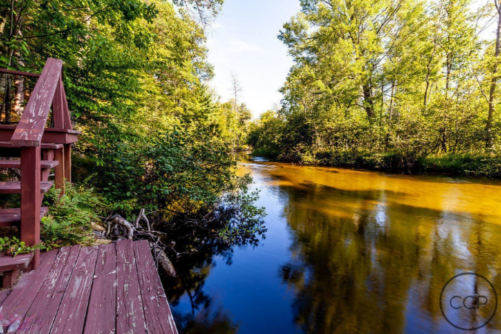 7799 Pomeroy Springs Road Manistee, MI 49660 - Photo 8 of 24 Manistee-115-HDR