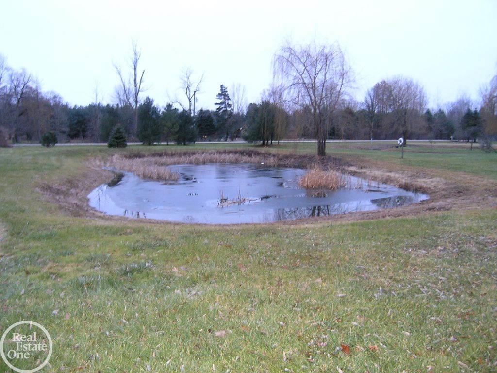 7560 Ravenswood Road Goodells, MI 48027 - Photo 30 of 36