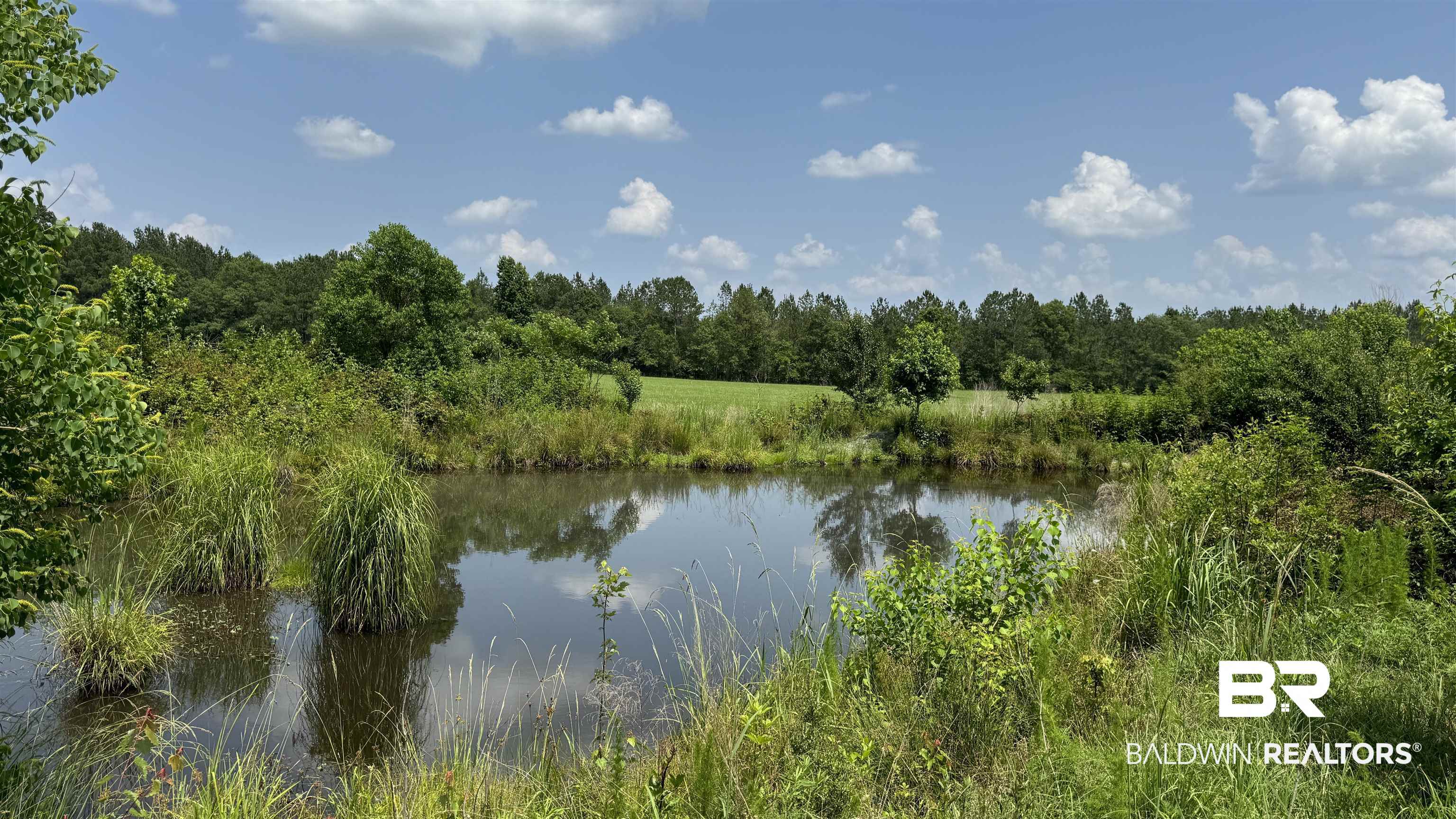 5182 Millry Buckatunna Road Millry, AL 36558 - Photo 49 of 50