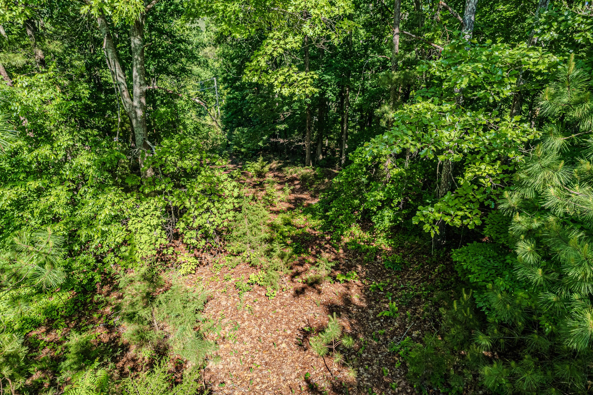 2163 Shiloh Road Decatur, TN 37322 - Photo 10 of 13