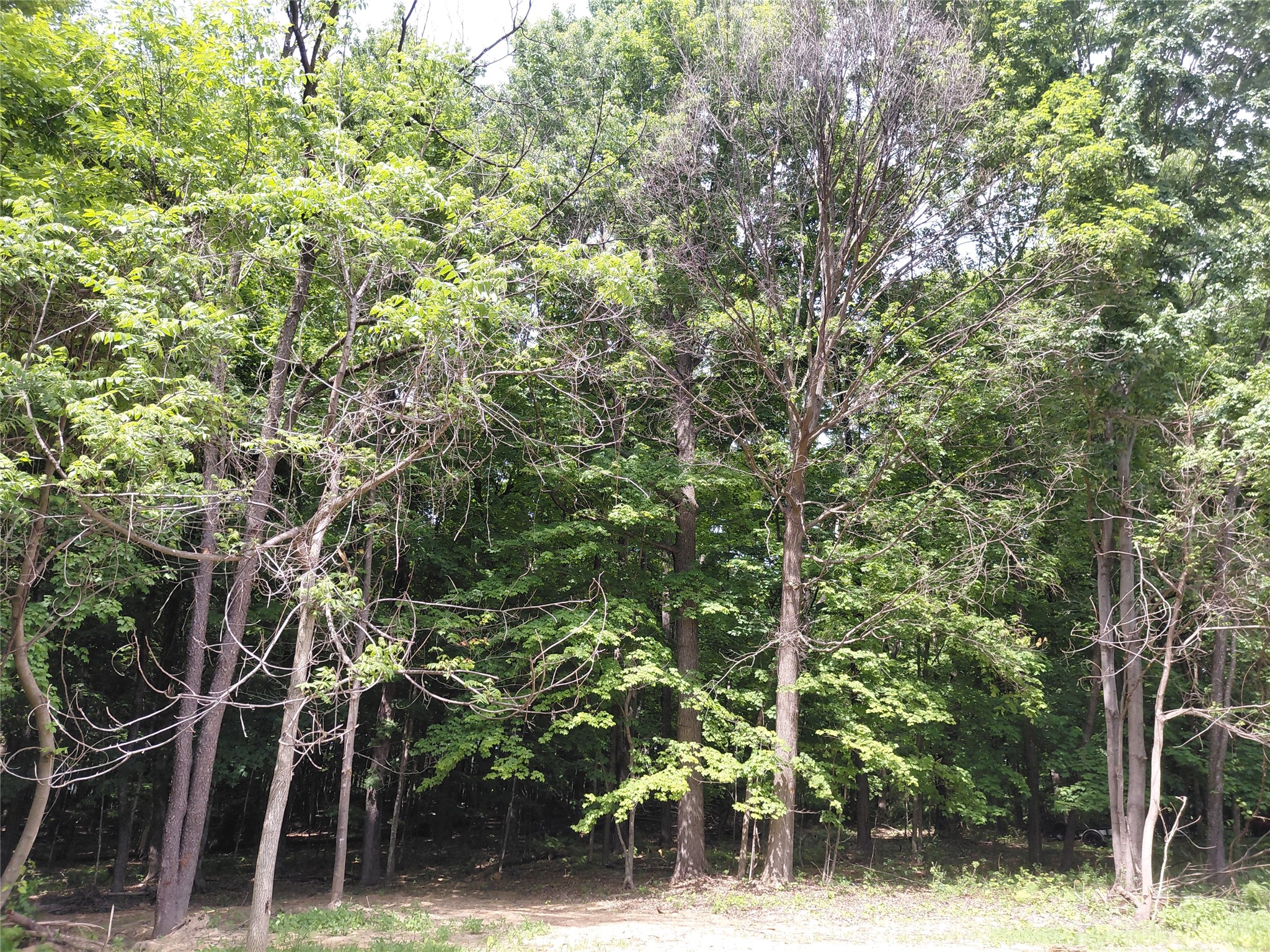 E5329 1370th Avenue Ridgeland, WI 54763 - Photo 13 of 14