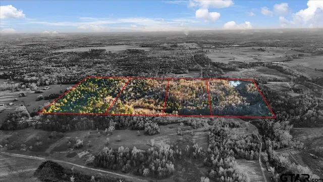 a view of a dry yard