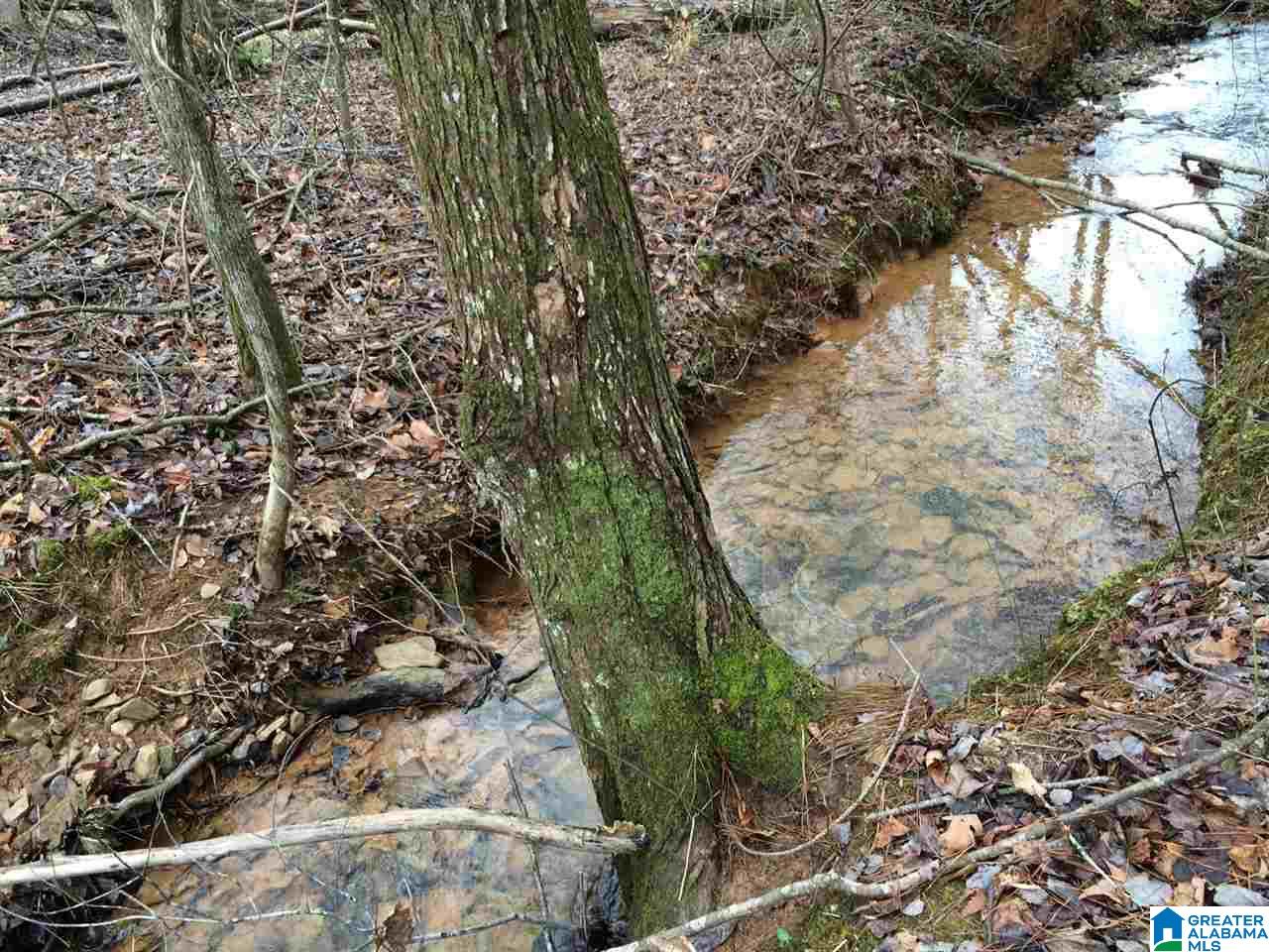 2469 Cherokee Road, Unit 40 ACRES Pell City, AL 35128 - Photo 1 of 9