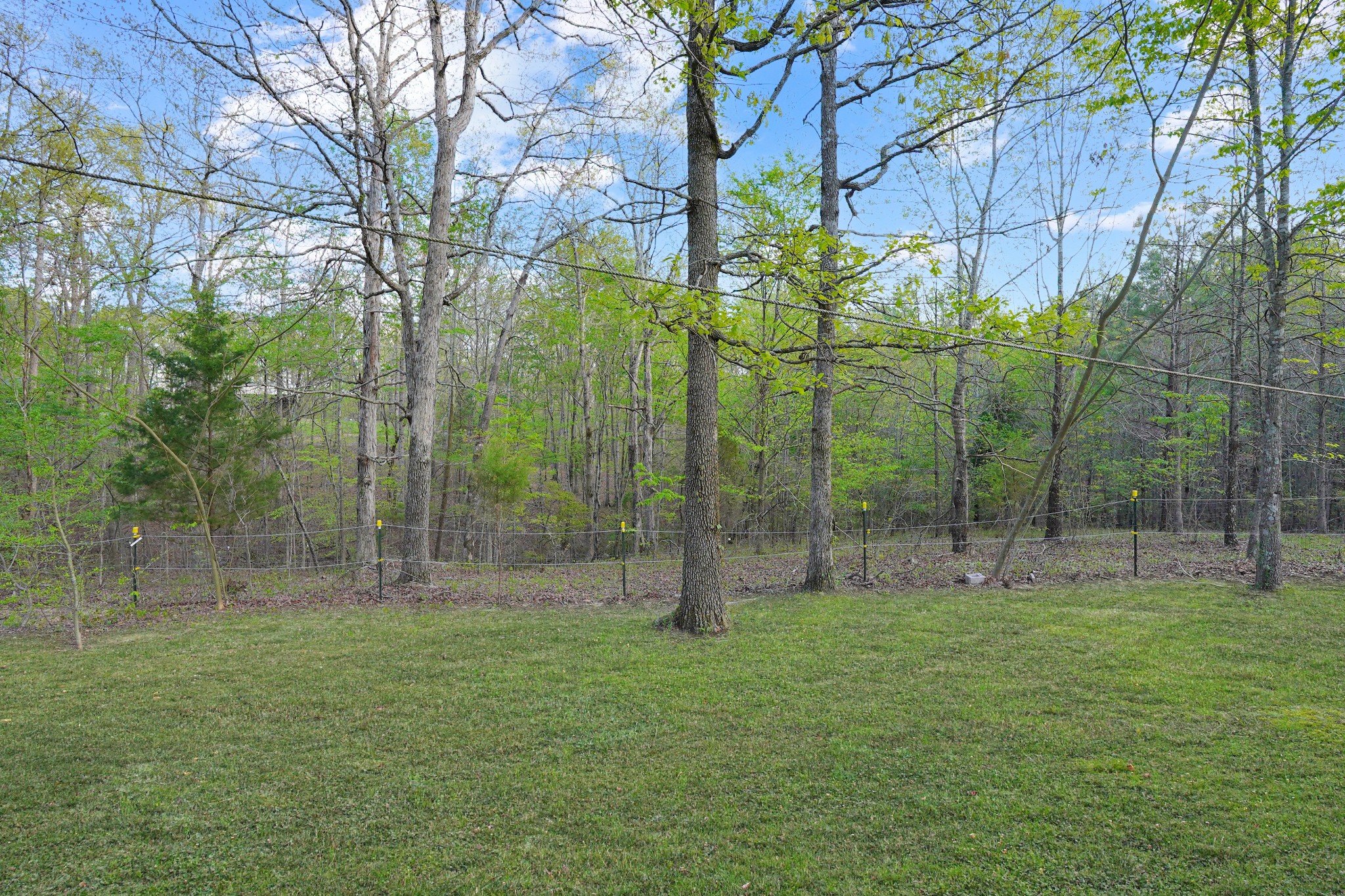 532 Cottrell Ridge Road Dover, TN 37058 - Photo 31 of 31 Gallery Image 31