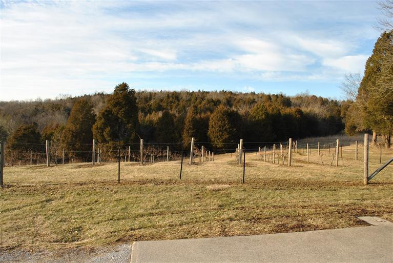 376 Clay Ridge Road Alexandria, KY 41001 - Photo 28 of 30 Gallery Image 28
