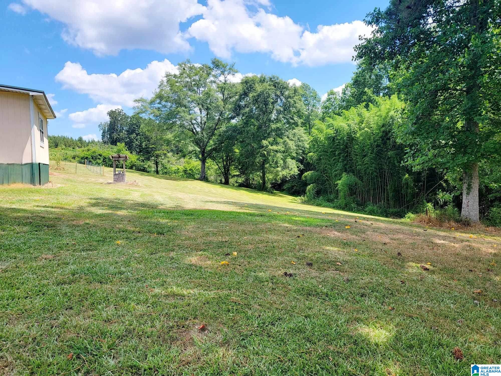 156 County Road 289 Wedowee, AL 36278 - Photo 39 of 53