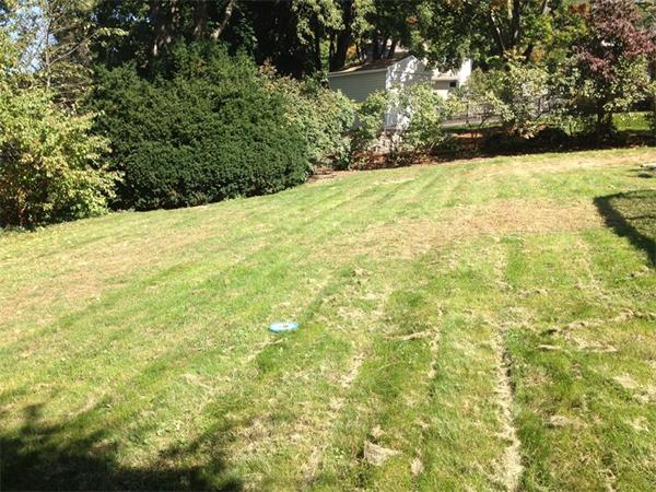 5 Wilogreen Road Natick, MA 01760 - Photo 9 of 9 Gallery Image 9