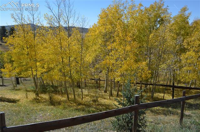 240 Ridge Top Drive Divide, CO 80814 - Photo 23 of 38