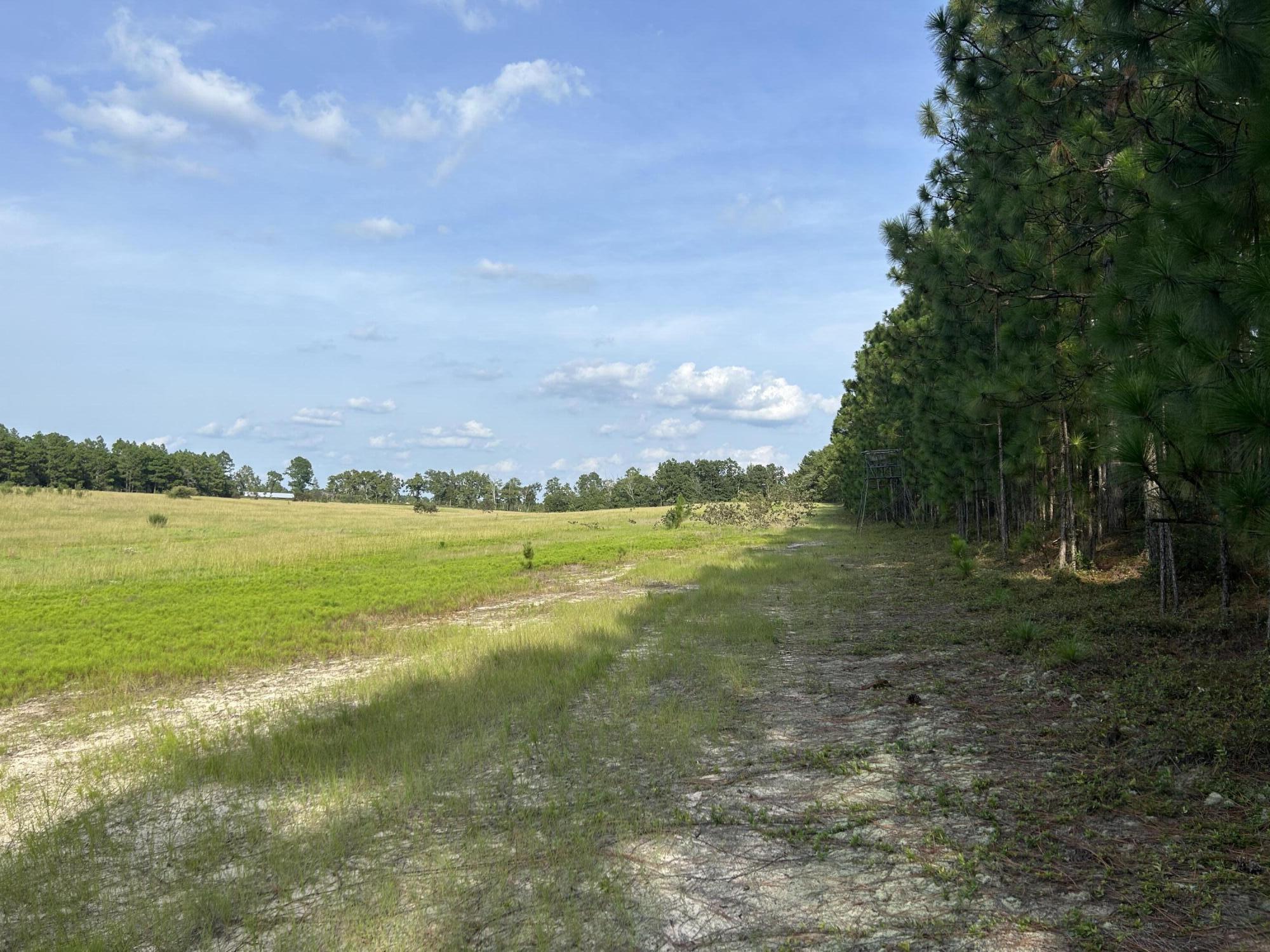 0 Good Springs Road Aiken, SC 29801 - Photo 6 of 6 Gallery Image 6