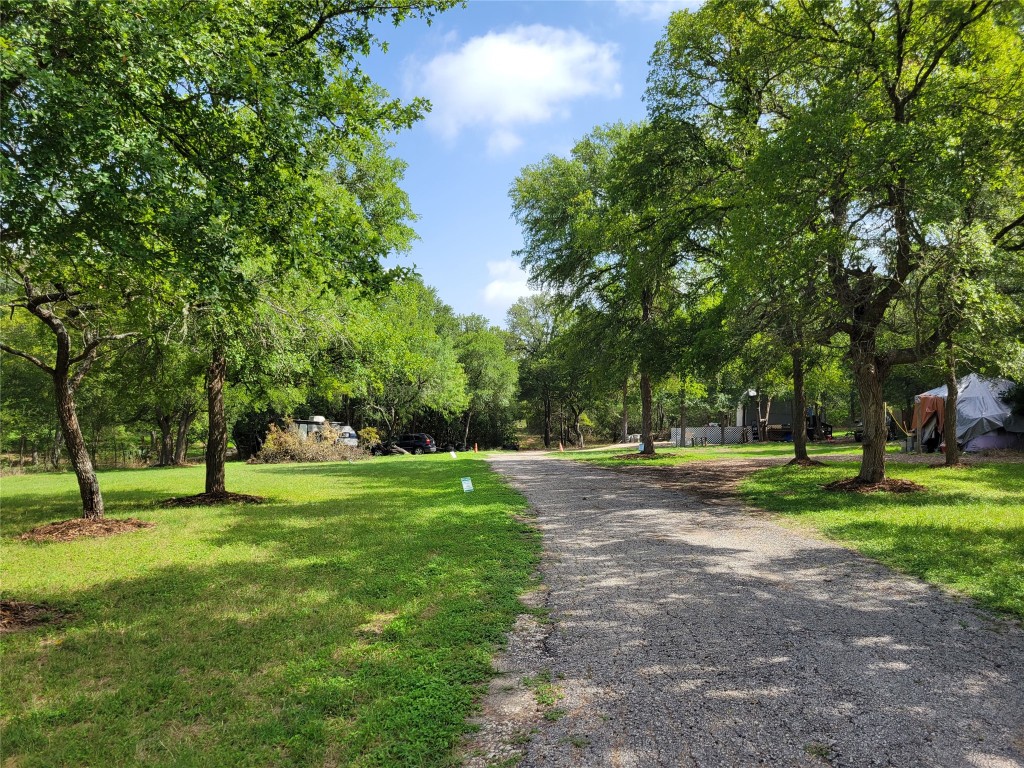 a view of a park with large trees