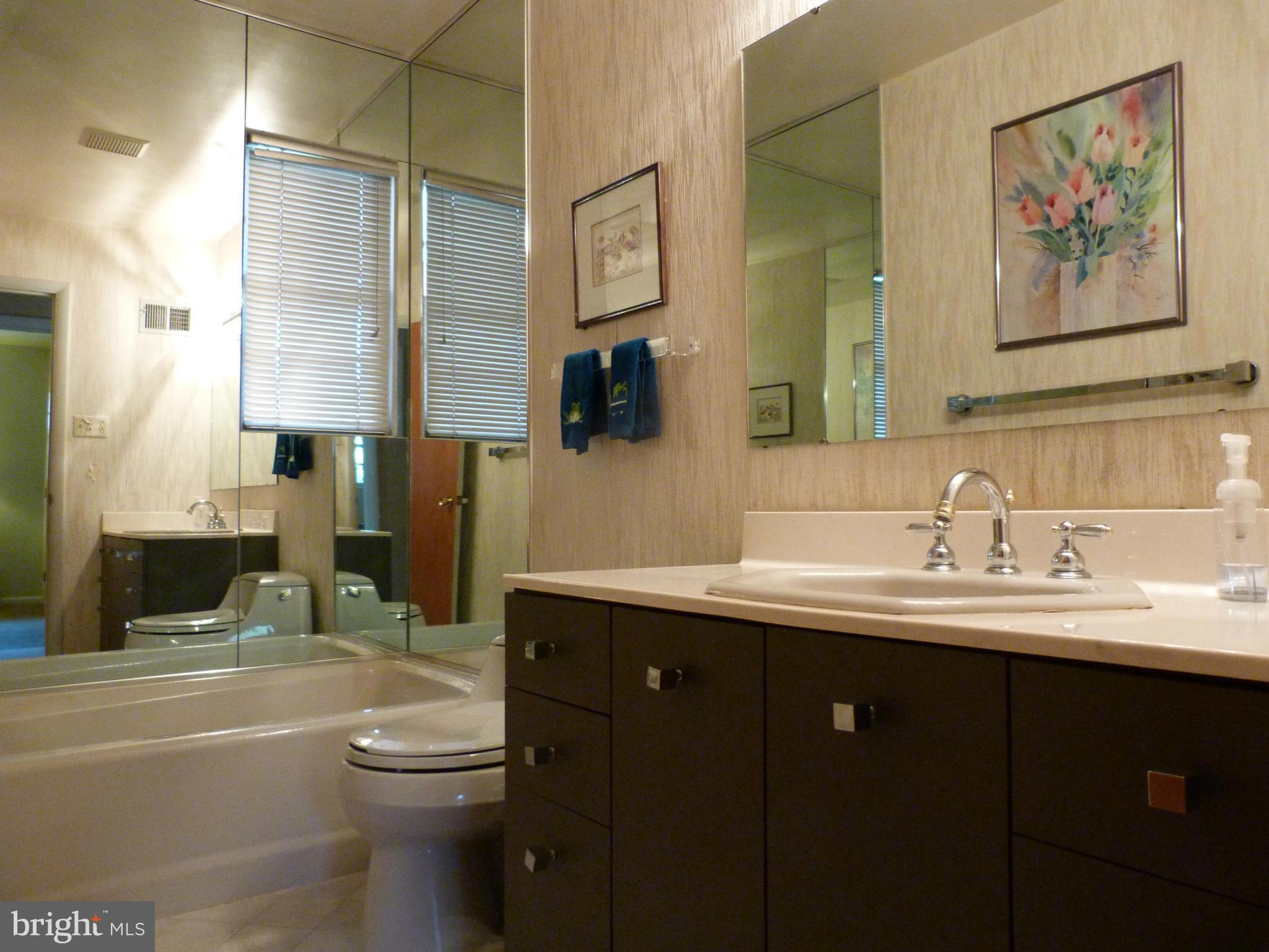 9508 Midwood Road Silver Spring, MD 20910 - Photo 9 of 10 a bathroom with a toilet a sink a mirror a bathtub and vanity