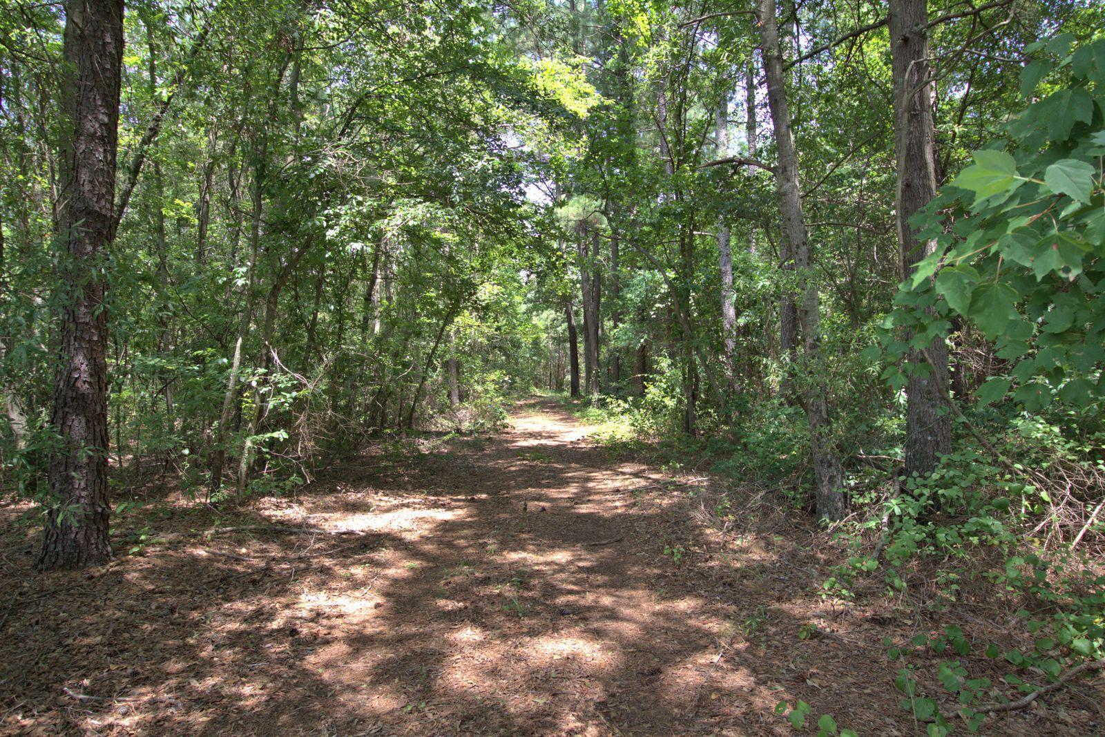 680 McIver Road Lumber Bridge, NC 28357 - Photo 2 of 4 IMG_2163