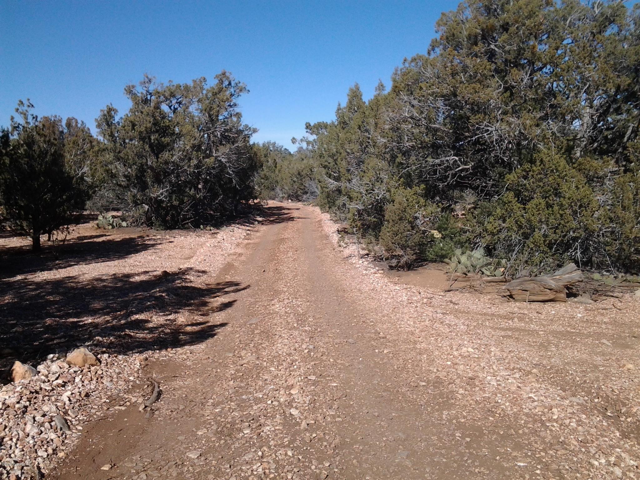 Lot 8 Sidwell Road Kingman, AZ 86401 - Photo 11 of 24 20131108_131444