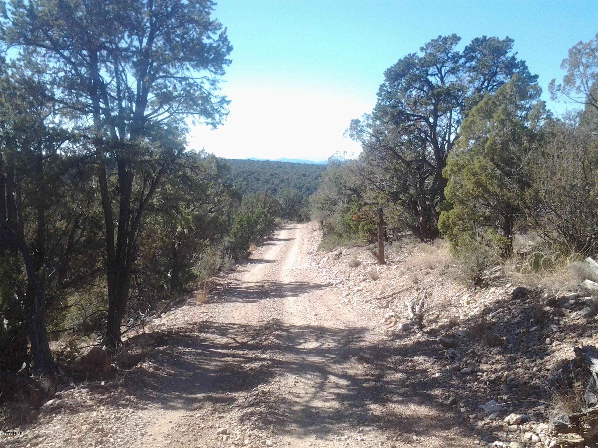Lot 8 Sidwell Road Kingman, AZ 86401 - Photo 12 of 24 20131108_132310