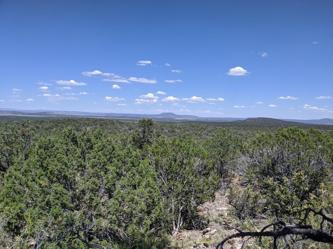 Lot 8 Sidwell Road Kingman, AZ 86401 - Photo 20 of 24 low.Photo 6