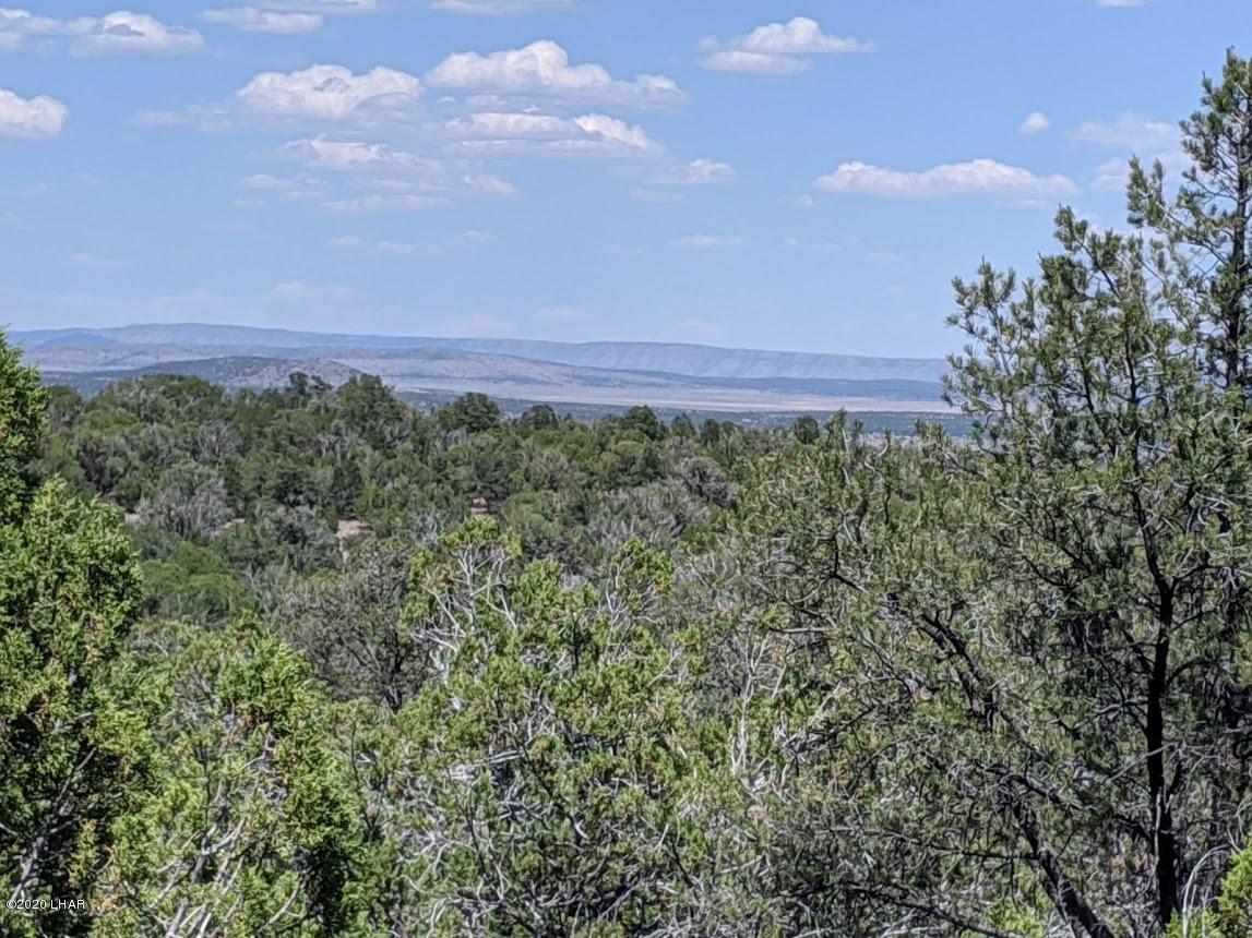 Lot 8 Sidwell Road Kingman, AZ 86401 - Photo 2 of 24 low.Photo 2