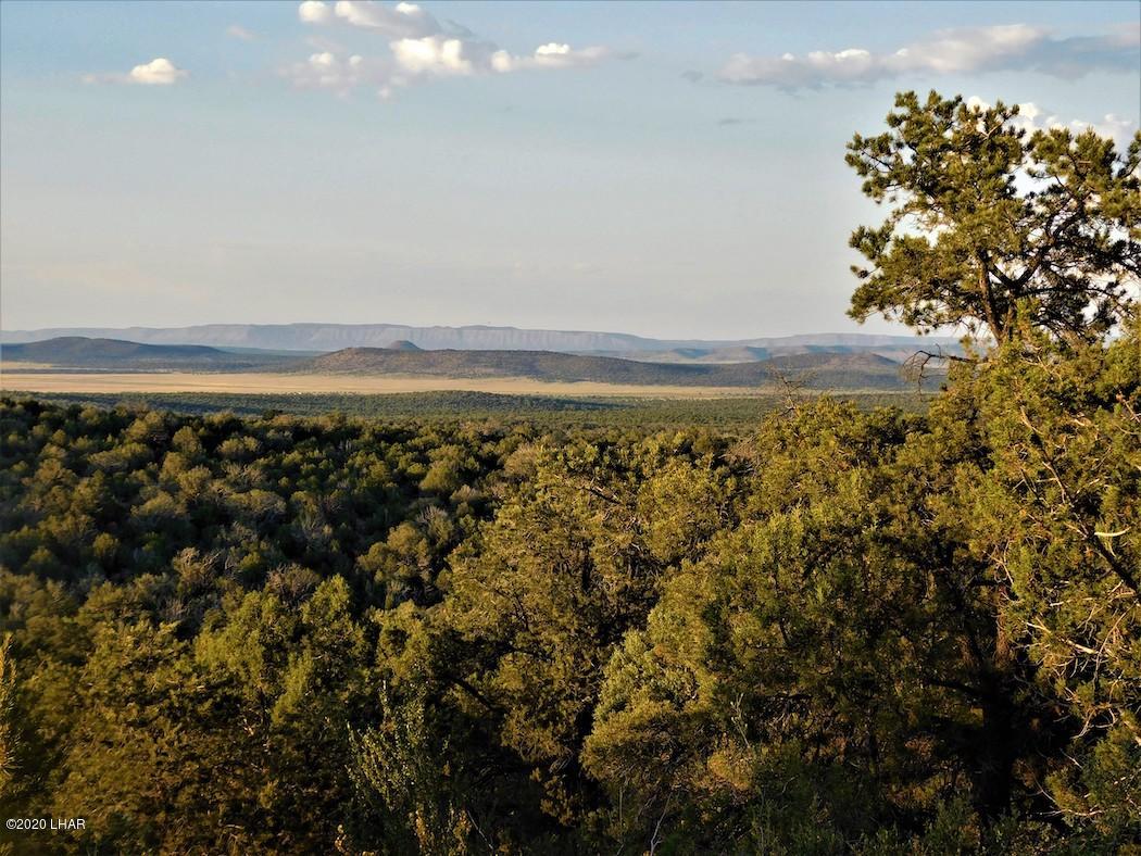 Lot 8 Sidwell Road Kingman, AZ 86401 - Photo 22 of 24 Photo 8