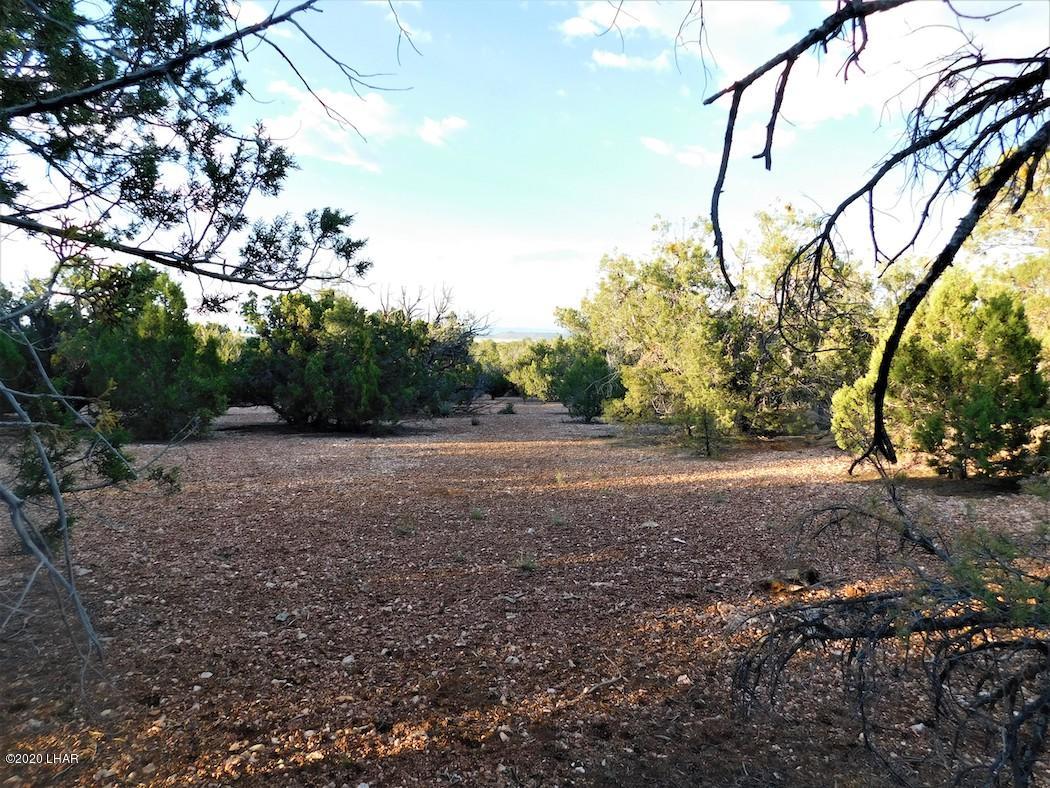Lot 8 Sidwell Road Kingman, AZ 86401 - Photo 23 of 24 Photo 9