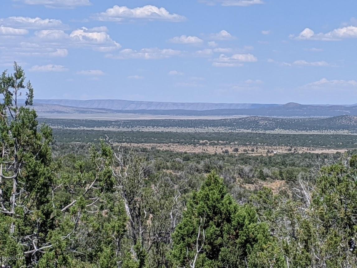 Lot 8 Sidwell Road Kingman, AZ 86401 - Photo 4 of 24 low.Photo 1