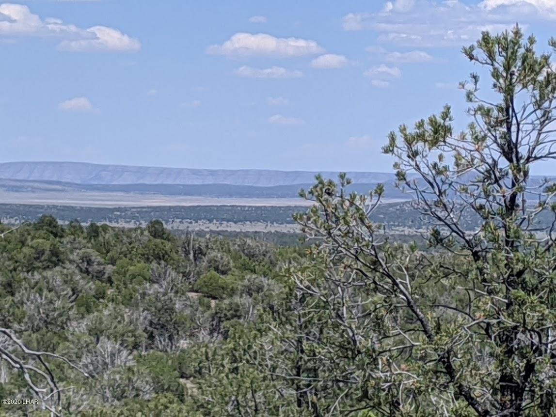 Lot 8 Sidwell Road Kingman, AZ 86401 - Photo 6 of 24 low.Photo 4