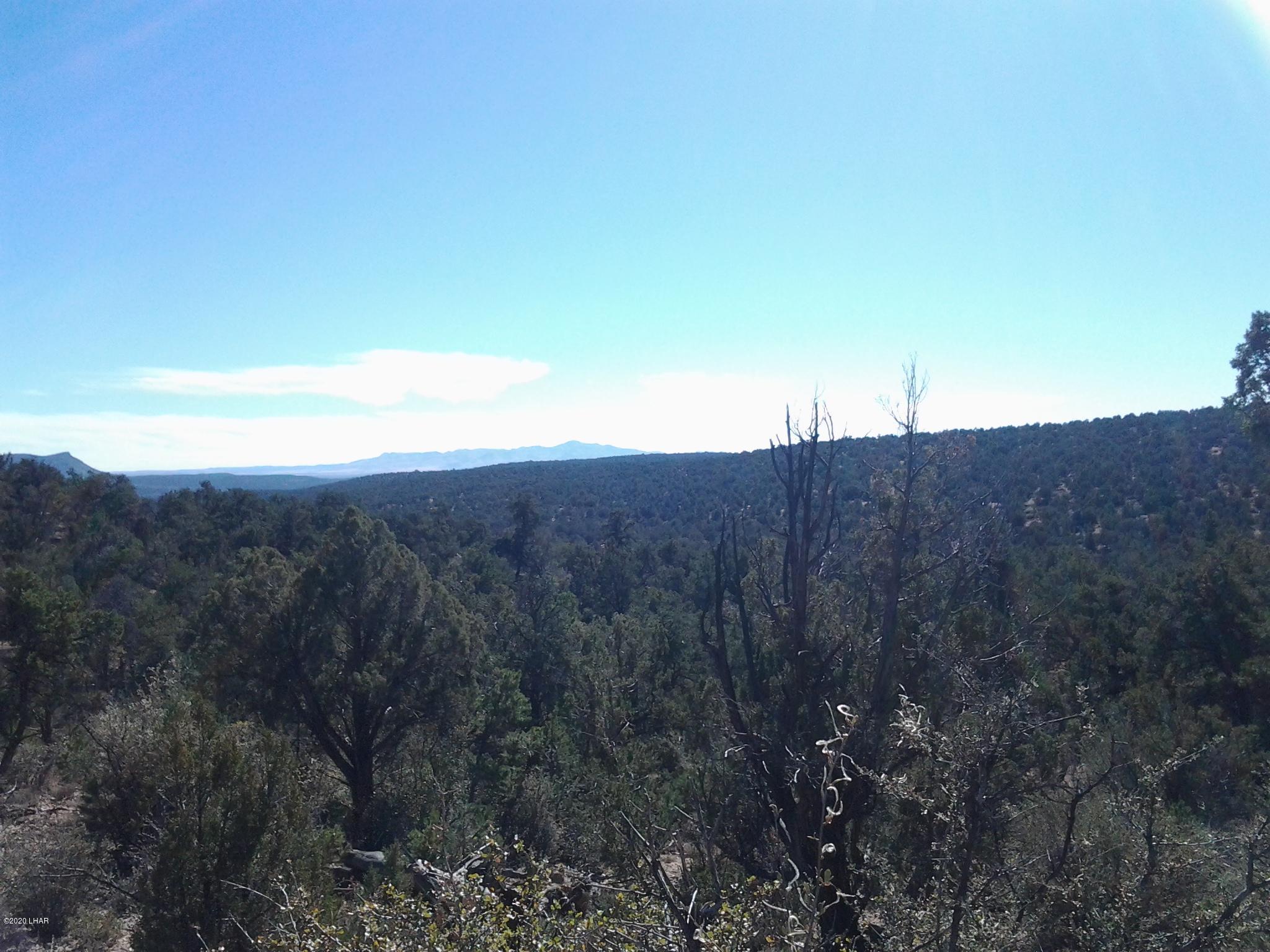 Lot 8 Sidwell Road Kingman, AZ 86401 - Photo 10 of 24 20131108_131114