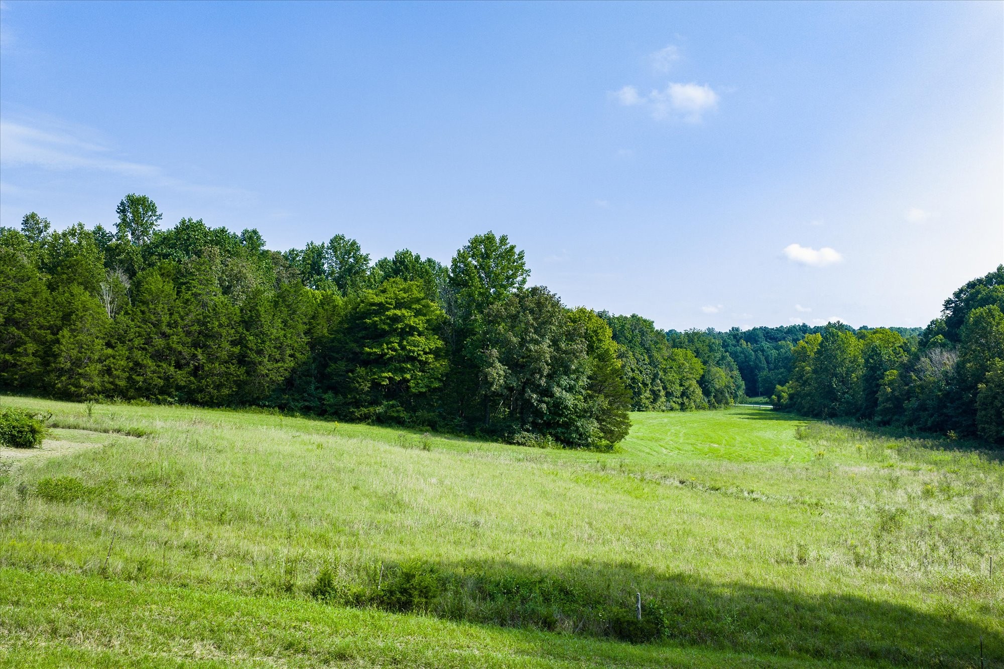 330 Griffintown Road Sparta, TN 38583 - Photo 33 of 43 a view of a grassy field with trees in the background
