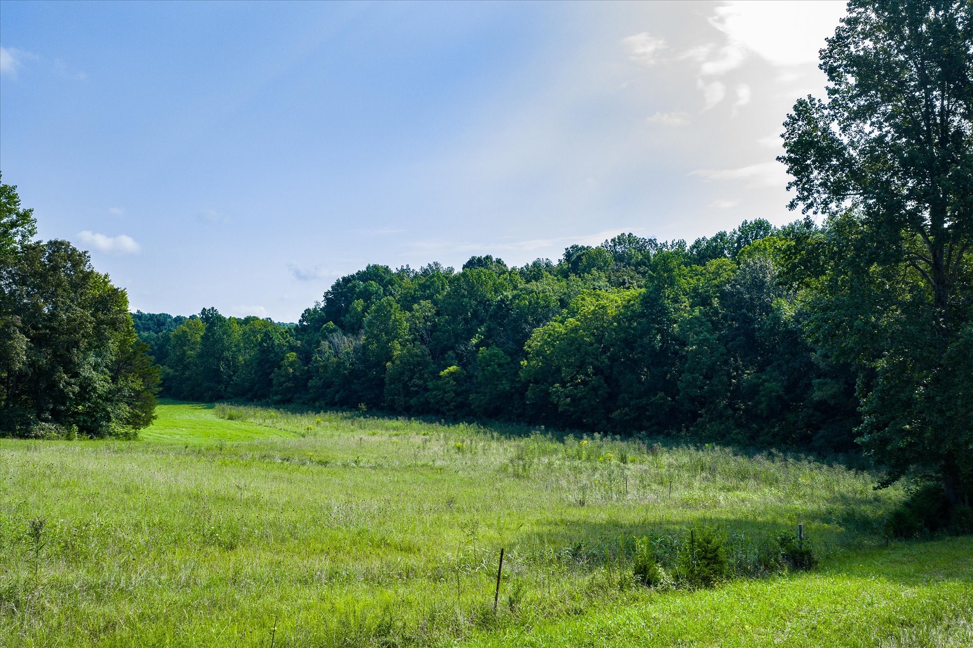 330 Griffintown Road Sparta, TN 38583 - Photo 34 of 43 a view of green field with trees in the background