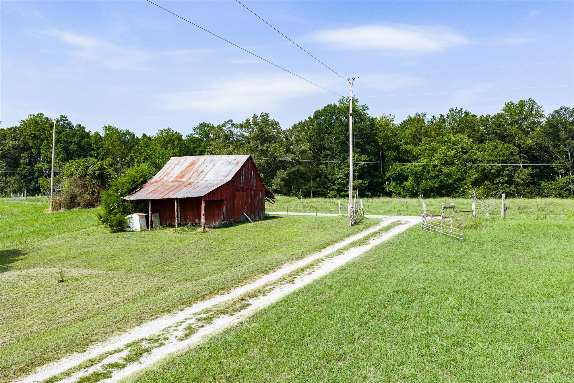 330 Griffintown Road Sparta, TN 38583 - Photo 40 of 43 a view of a house with a big yard potted plants and large tree