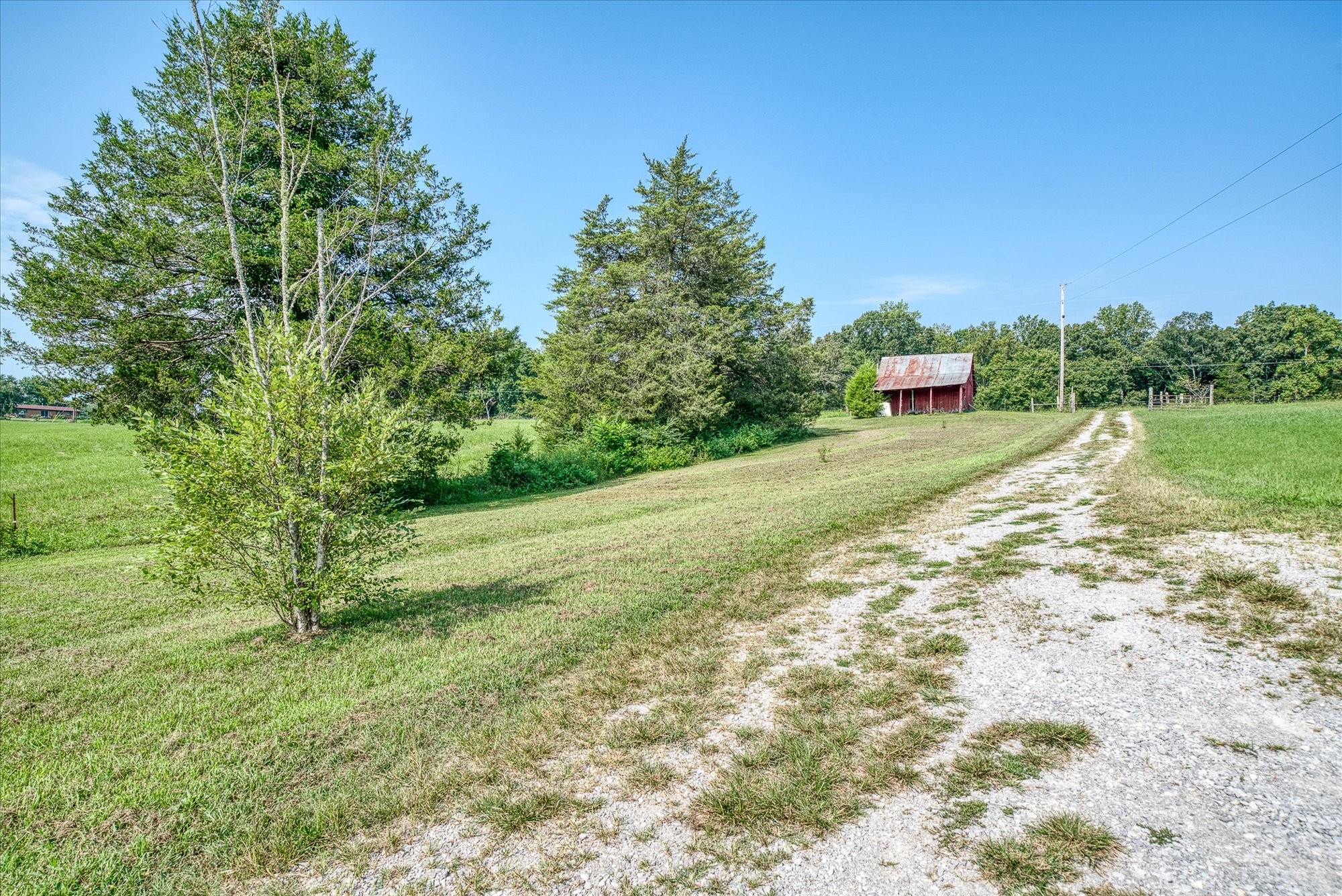 330 Griffintown Road Sparta, TN 38583 - Photo 42 of 43 a big yard with lots of green space