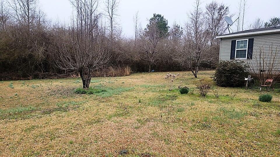 736 Willcutt Road Berry, AL 35546 - Photo 14 of 42 Gallery Image 14