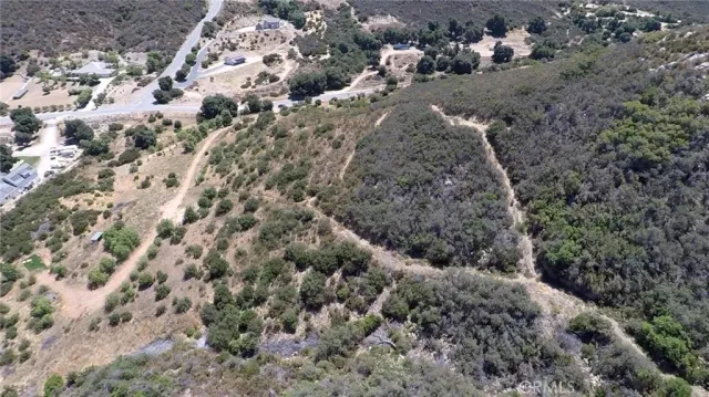 a view of a forest with a forest