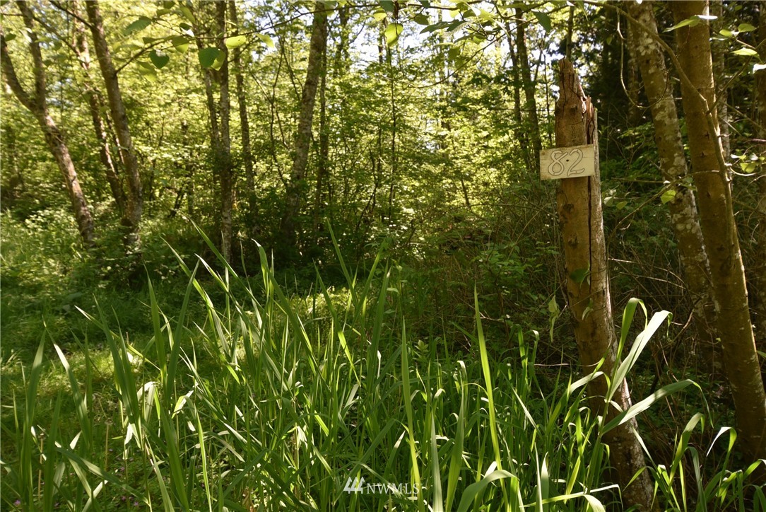 82 Masterson Road Blaine, WA 98230 - Photo 18 of 18