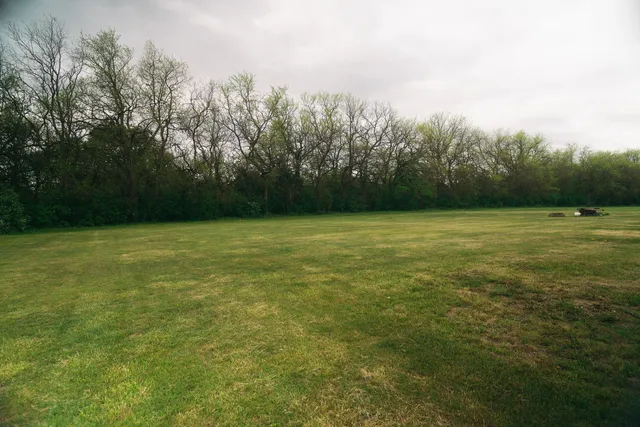 a view of a field with trees in the background